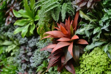 Trawnik po zimie — wertykulacja, nawożenie i pierwsze koszenie